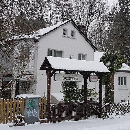 Hotel Kronberg Kronberg im Taunus Eksteriør billede